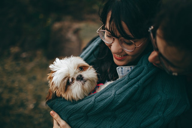 What To Do In Huntsville Animal Lovers Holding Dog